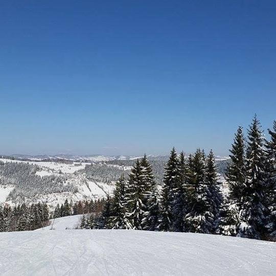 Milanova Koliba Zlatar Vila Nova Varoš Exterior foto