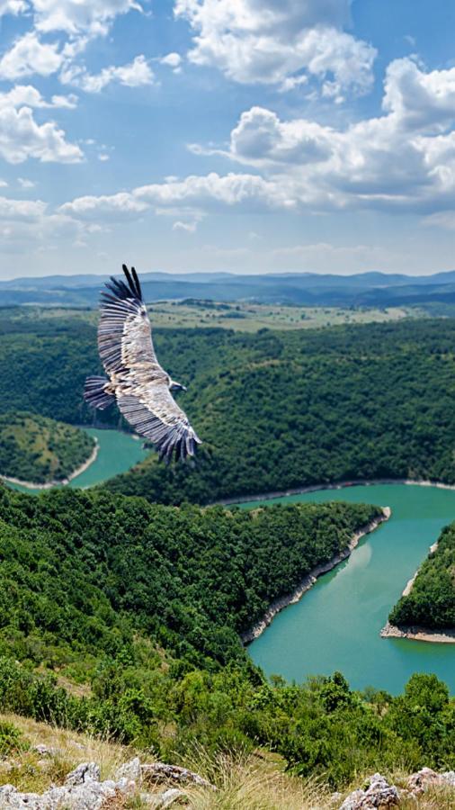 Milanova Koliba Zlatar Vila Nova Varoš Exterior foto